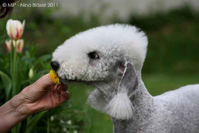 2011-04-23 Quincy etc (14).jpg